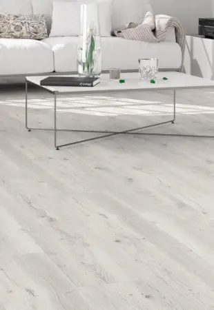 Karya Meşe