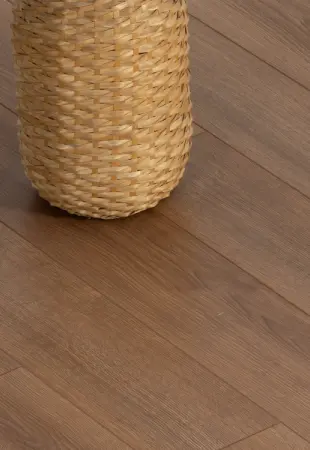 Albero Meşe